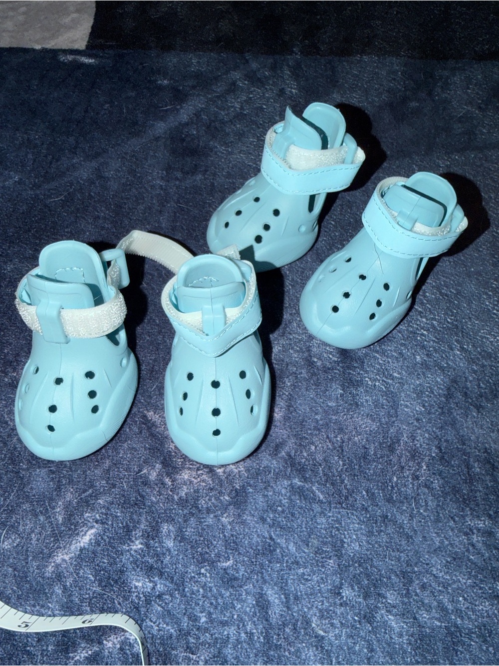 Light Blue Dog Crocs!